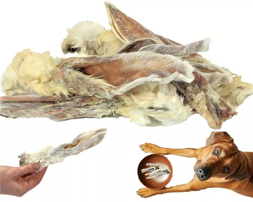 5kg rabbit ears - ears, furry