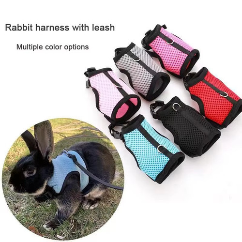Harness with leash - with, for