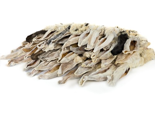 Herons rabbit ears with fur - rabbit,