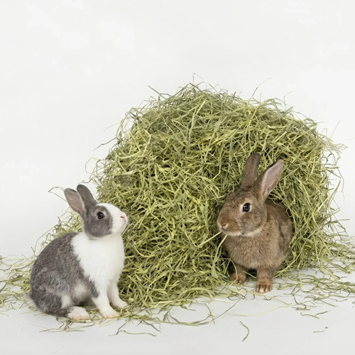 Timothy hay for - timothy,